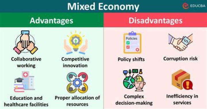 What is meant by mixed economy?