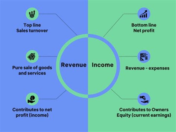 What is meant by revenue income?