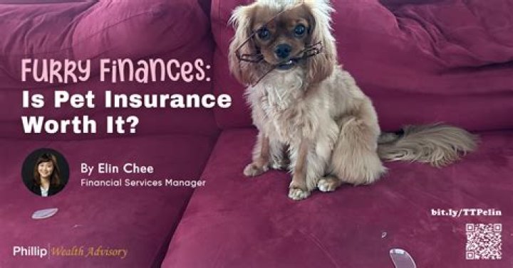 What is Patmi in finance?