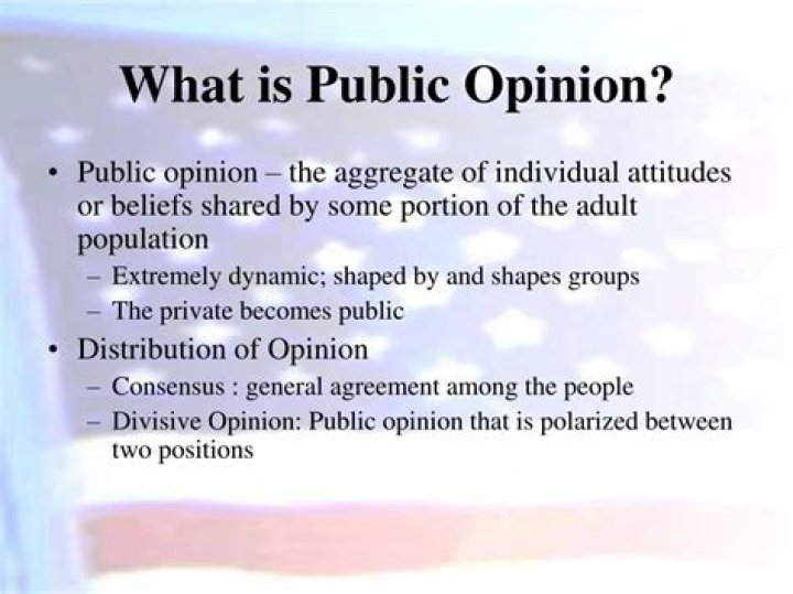 What is public opinion in government?
