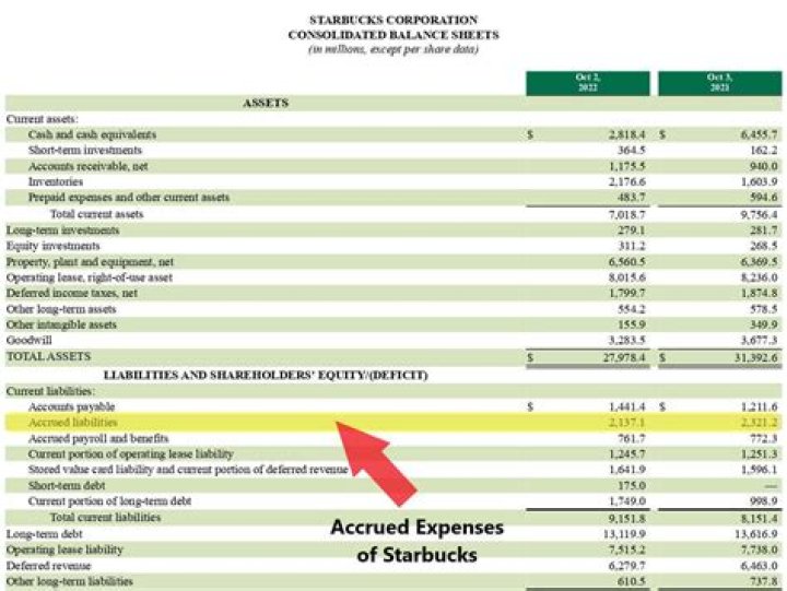 What is the adjustment for accrued expenses?