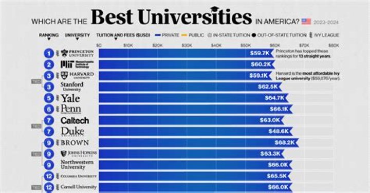 What is the best university for business majors?