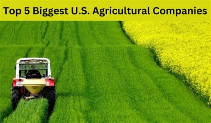 What is the biggest agricultural company?