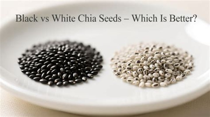 What is the Difference Between Black Chia Seeds and White Chia Seeds
