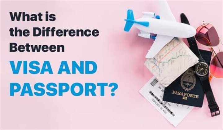 What is the difference between Visa and vanilla Visa?