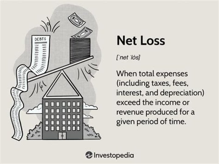 What is the effect of net loss?