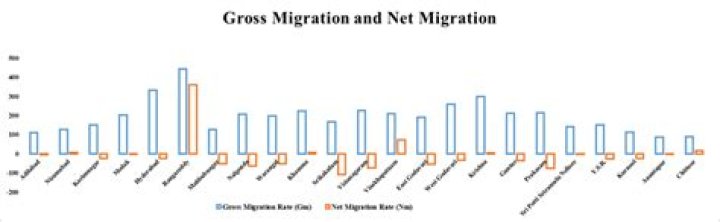 What is the formula of gross migration rate?