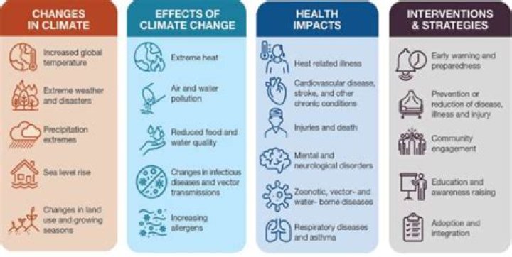 What is the impact of organization?