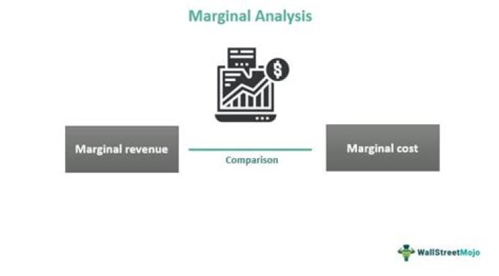 What is the importance of marginal analysis in economics?