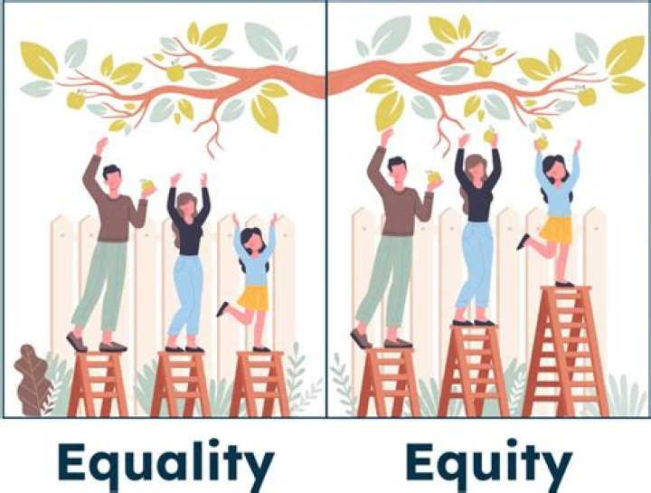 What is the meaning of equity share?