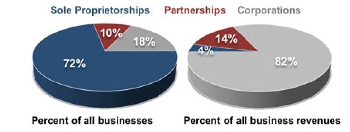 What is the percentage of sole proprietorship?