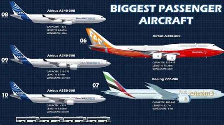What is the second largest airline in the world?
