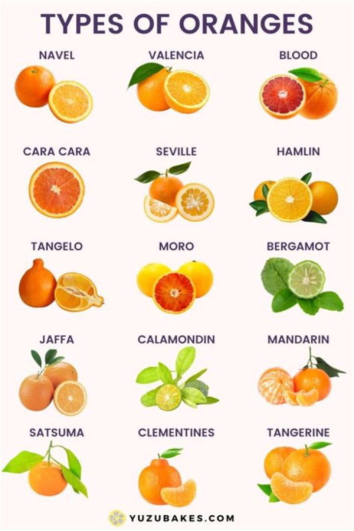 What is the sister fruit to oranges?
