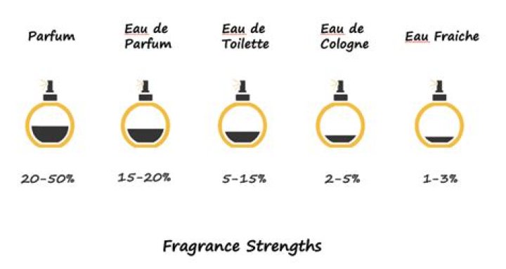 What is the strongest perfume type?