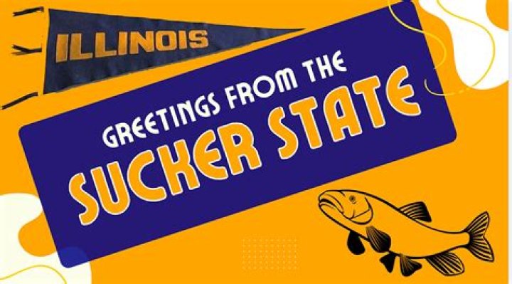 What is the sucker state?