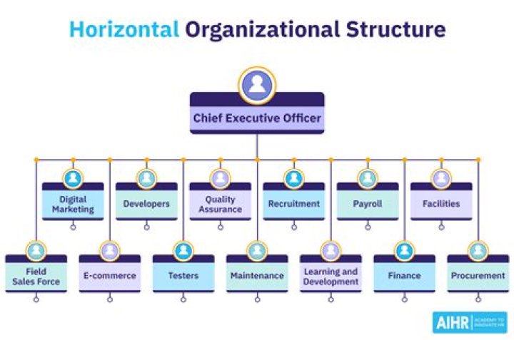 What is vertical and horizontal structure in an organization?