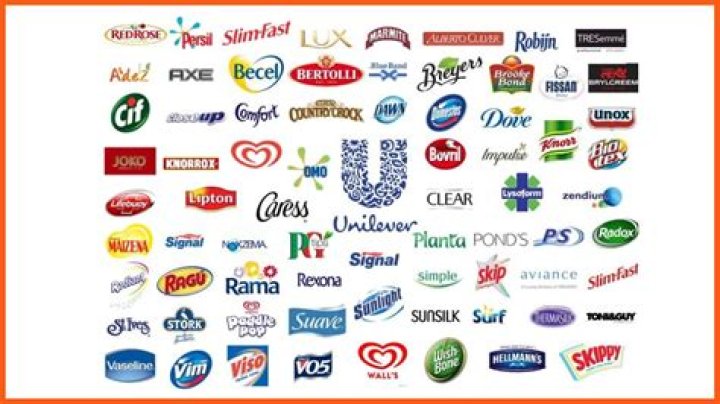 What kind of company is Unilever?
