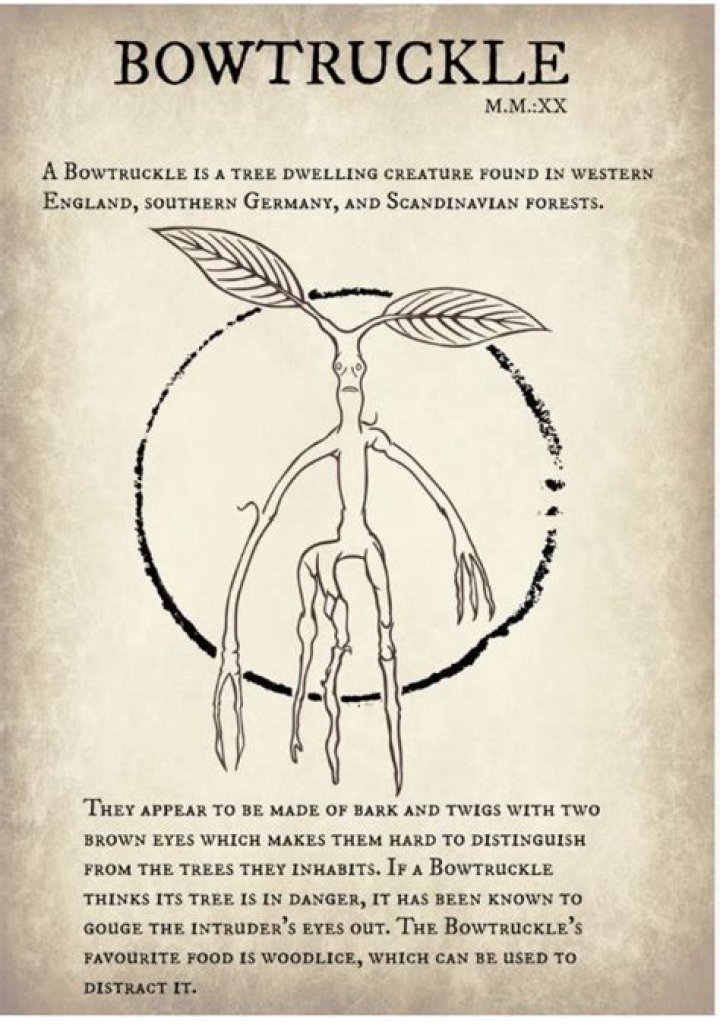 What kind of food do Bowtruckles like?