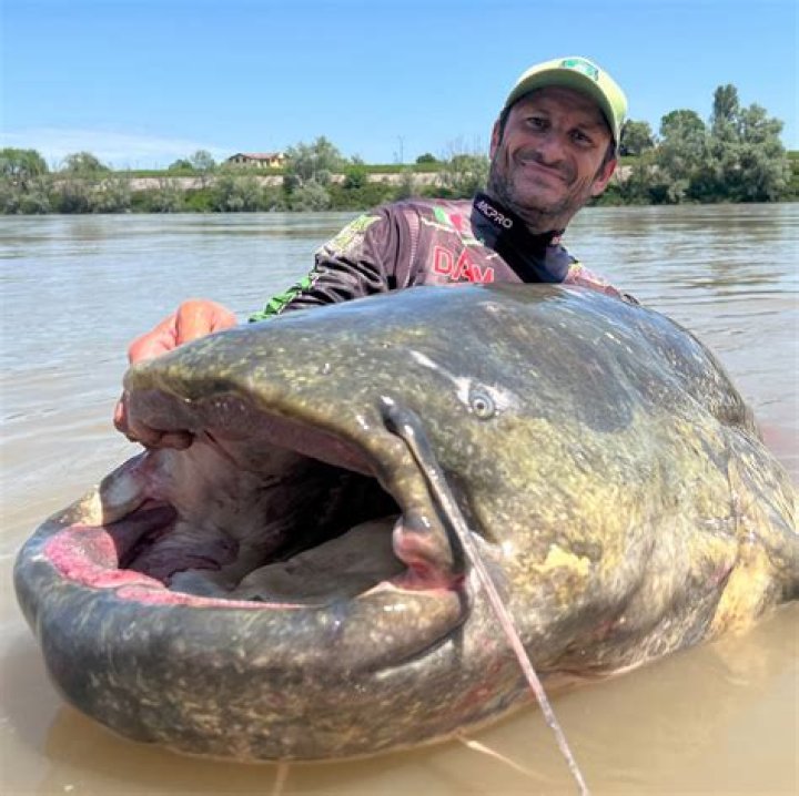 What’s the biggest fish Jeremy Wade has ever caught?
