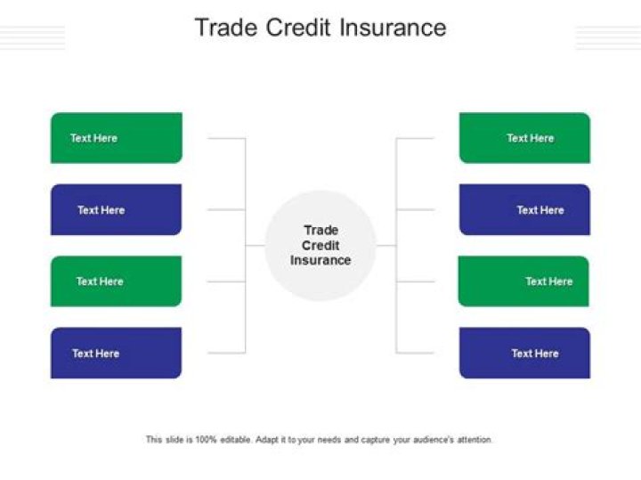 What type of insurance is credit insurance?