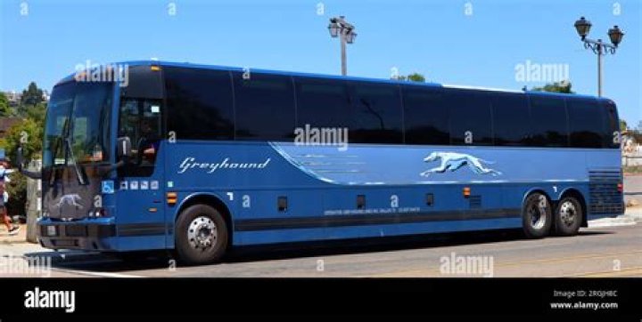 What US state was Greyhound Lines bus company founded in?