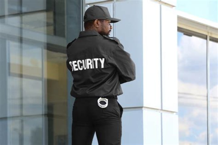 What was the first private security company?