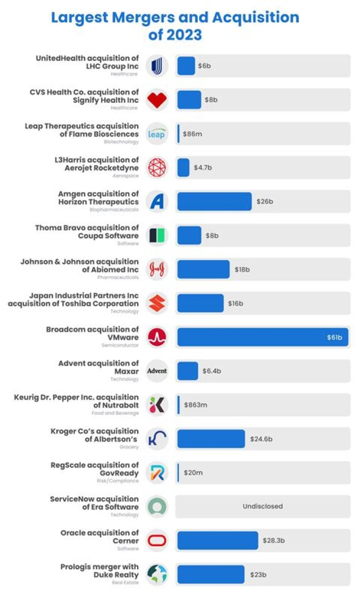 What were some of the largest mergers and acquisitions?