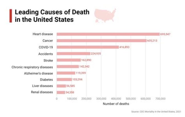 What were the largest causes of death in the Virginia Company settlements?