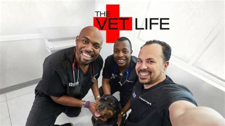 Where does the vet life take place? – Celebrity.fm – #1 Official Stars, Business & People Network, Wiki, Success story, Biography & Quotes