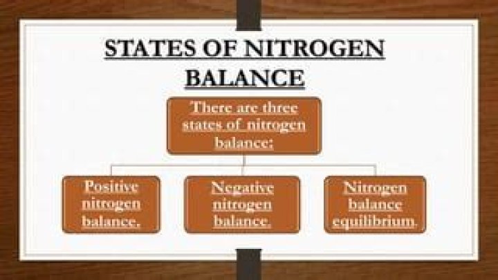 Where is positive nitrogen balance?