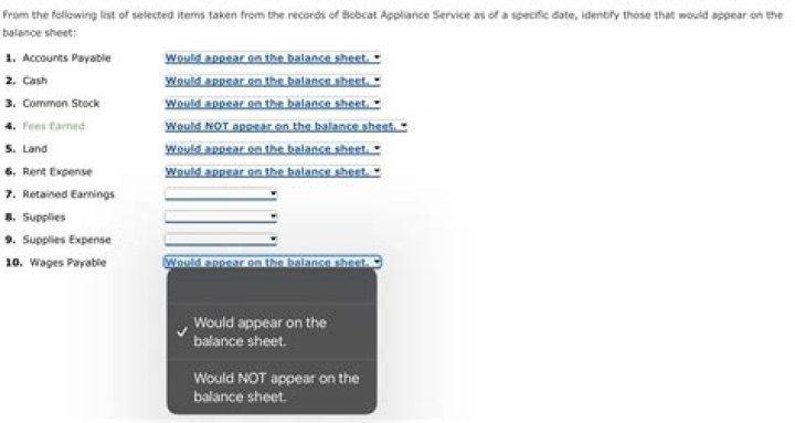 Which financial statement is reported as of a specific date quizlet?