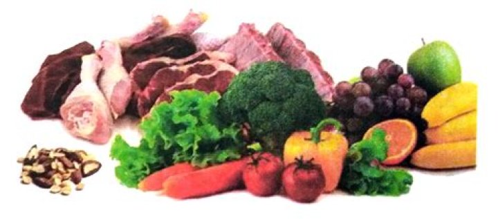 Which is reserve food?