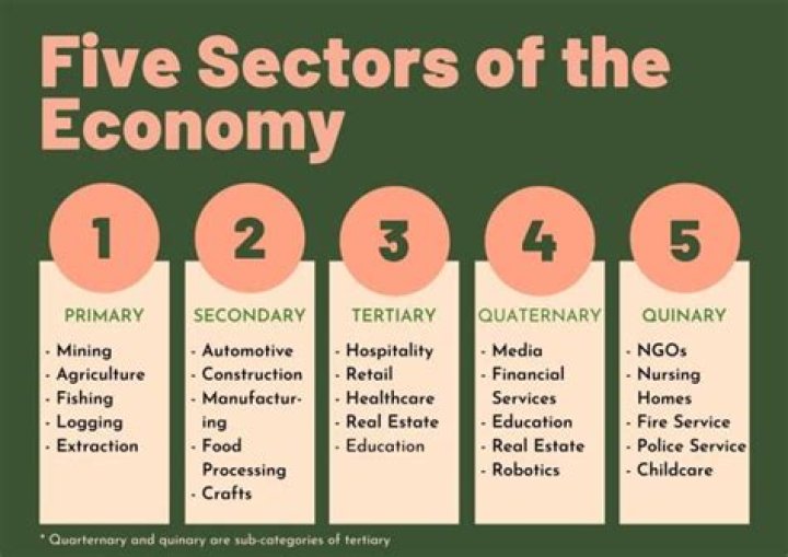 Which sector contributes the most to US economy?