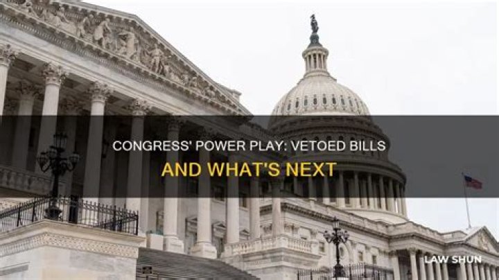 Who can veto bills by Congress?
