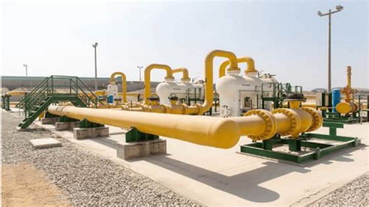 Who distributes natural gas?