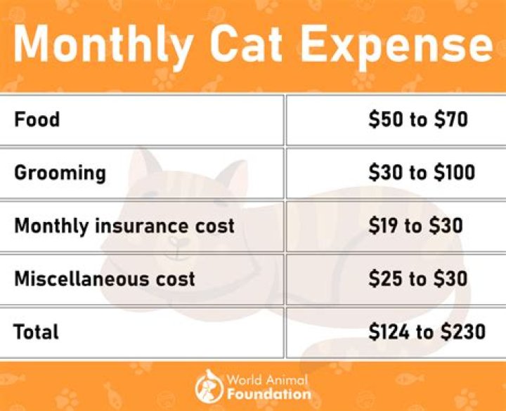 Who has the best prices on cat supplies?