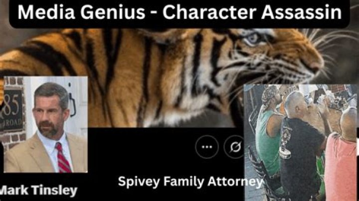 Who is Mark Tinsley? Mallory Beach’s attorney dubbed ‘tiger’ after testifying at Alex Murdaugh’s trial