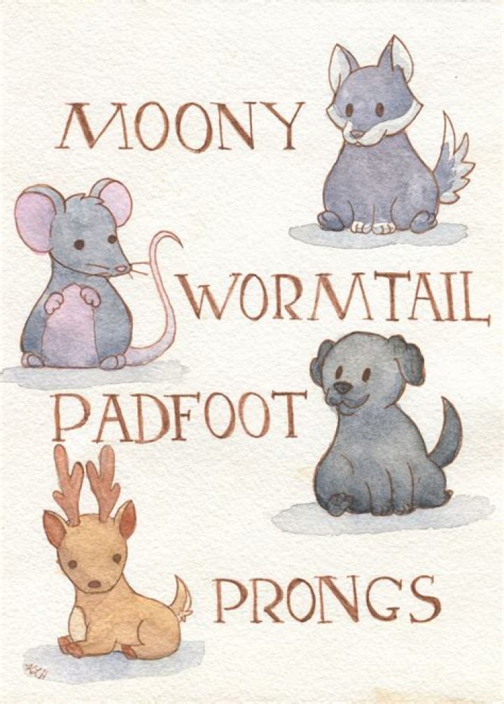 Who is Mrs Moony Wormtail Padfoot and Prongs?