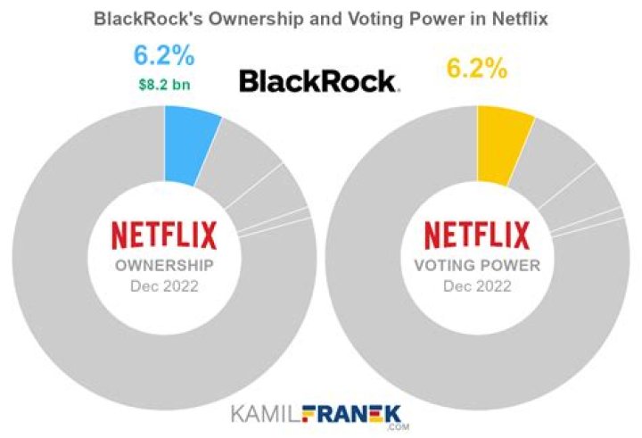 Who is the biggest shareholder of Netflix?