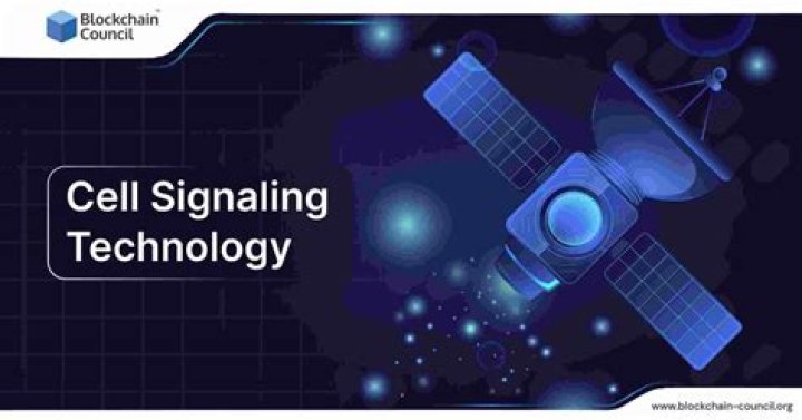 Who owns Cell Signaling Technology?