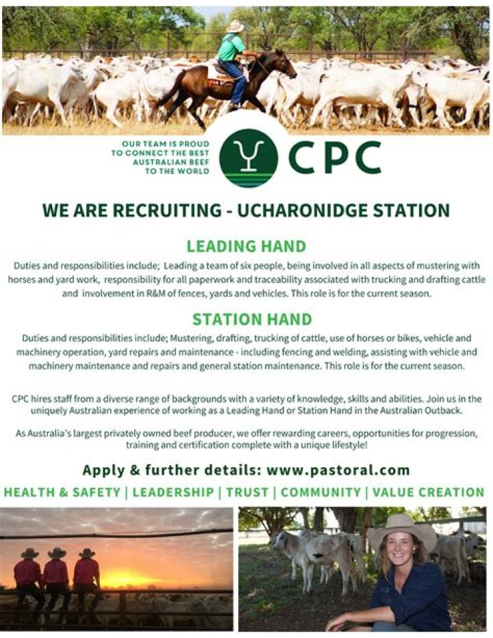 Who owns Consolidated Pastoral Company?