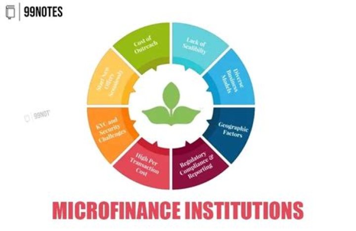 Who regulates micro finance institutions?