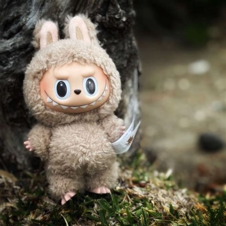 Why are Lilys eyes brown?