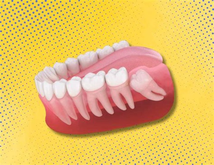 Why are they called milk teeth?