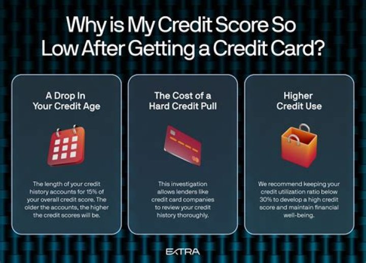 Why did getting a credit card lower my credit score?