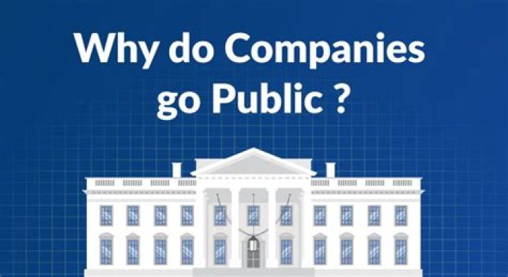Why do companies sell their shares to the public?