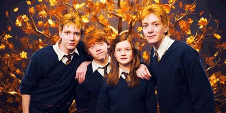 Why do the Weasleys use floo powder? – Celebrity.fm – #1 Official Stars, Business & People Network, Wiki, Success story, Biography & Quotes