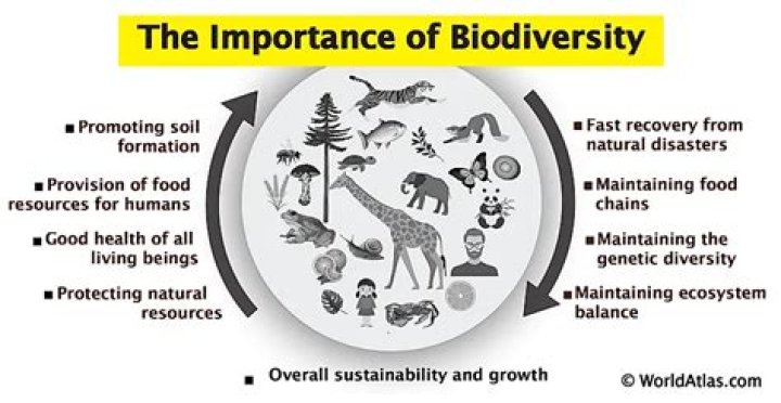 Why does biodiversity matter?