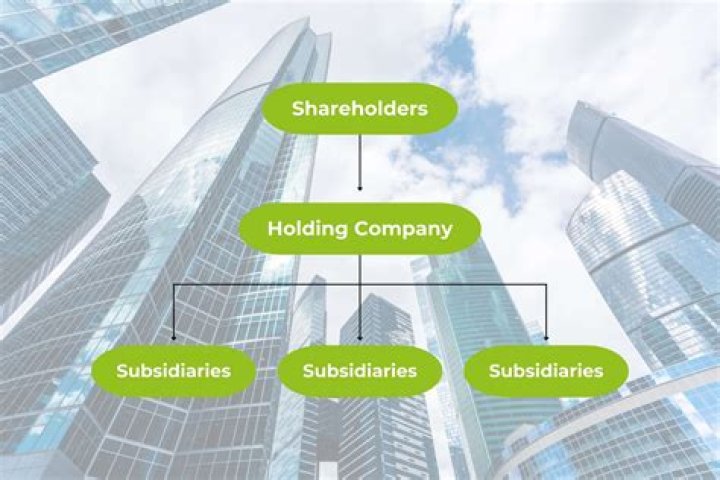 Why is a holding company created?