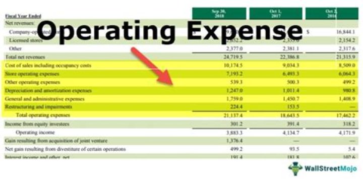 Why is interest expense an operating expense?